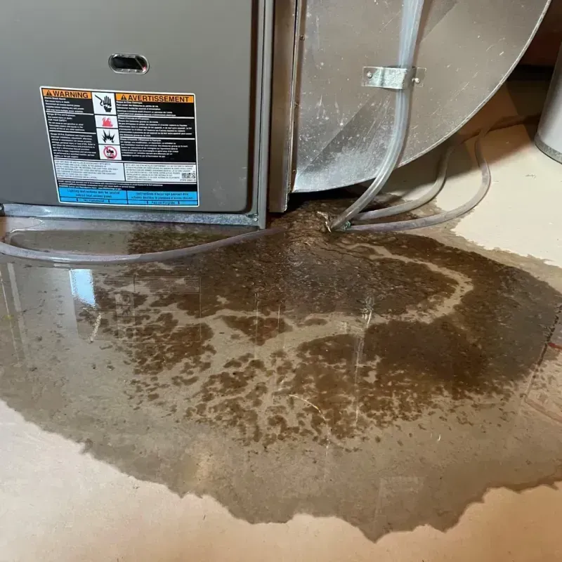 Appliance Leak Cleanup in Dora, AL